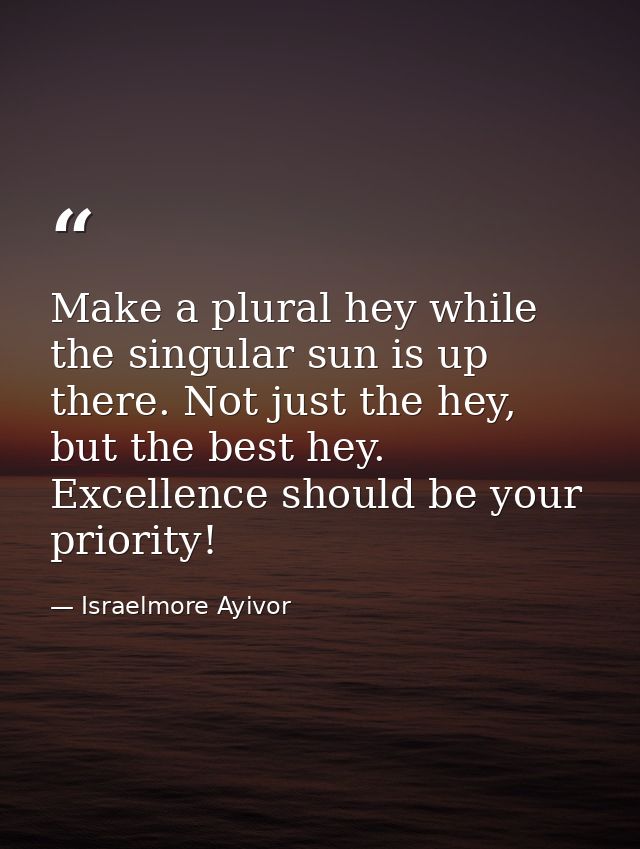 Make a plural hey while the singular sun is up there. Not just the hey, but the best hey. Excellence should be your prio — Israelmore Ayivor