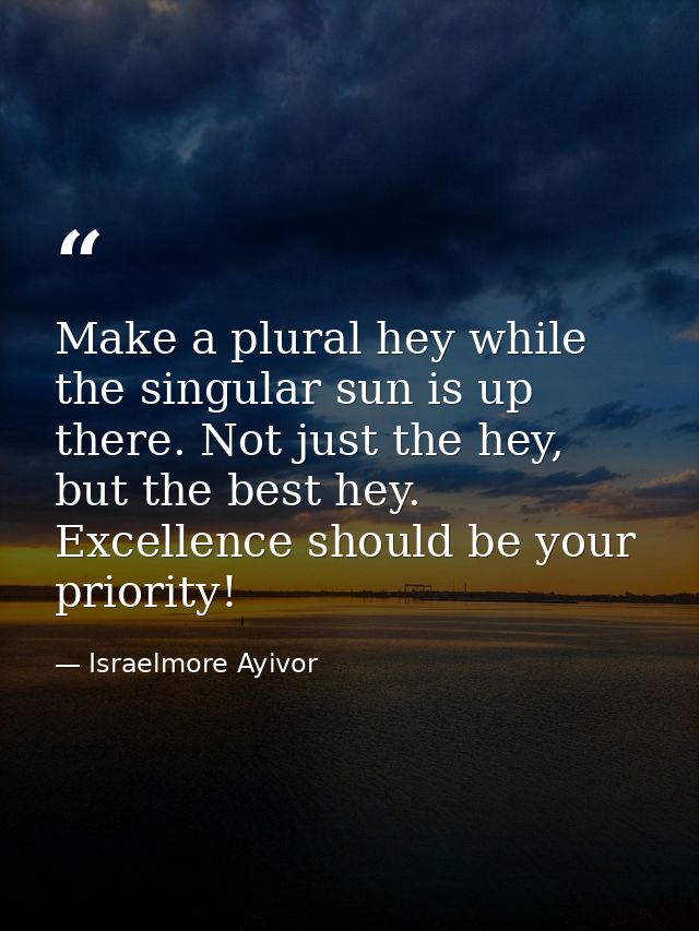 Make a plural hey while the singular sun is up there. Not just the hey, but the best hey. Excellence should be your prio — Israelmore Ayivor