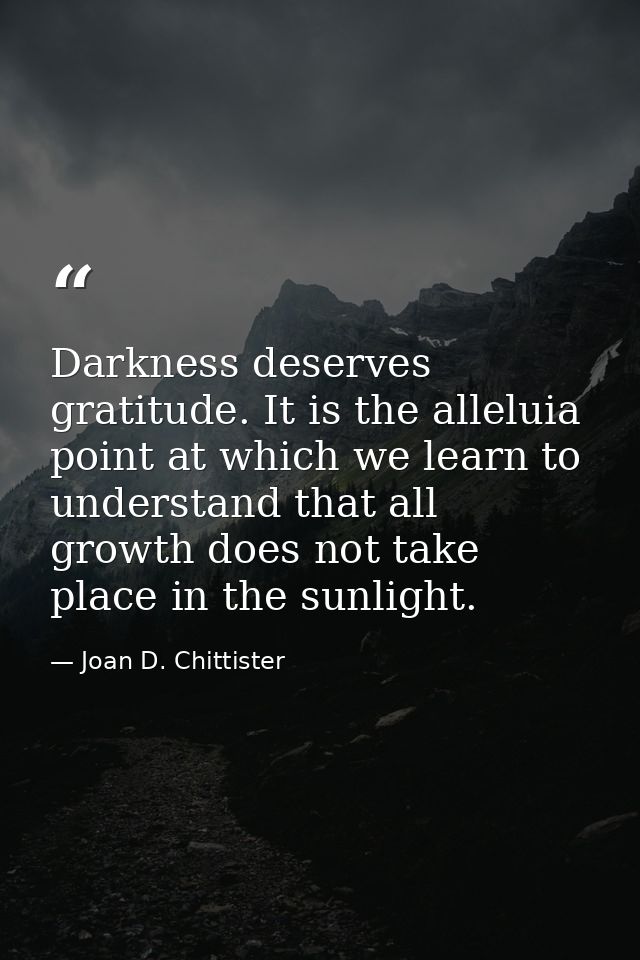 Darkness deserves gratitude. It is the alleluia point at which we learn to understand that all growth does not take plac — Joan D. Chittister