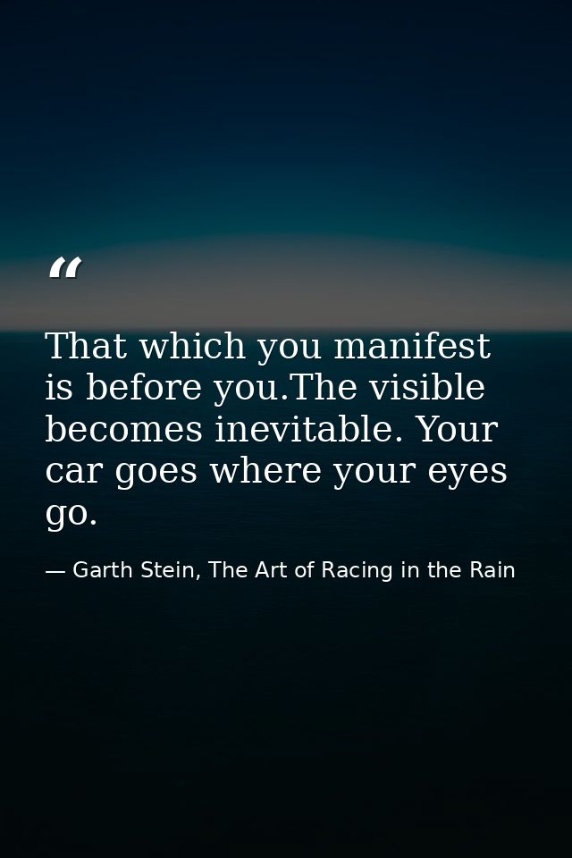 That which you manifest is before you.The visible becomes inevitable. Your car goes where your eyes go. — Garth Stein, The Art of Racing in the Rain