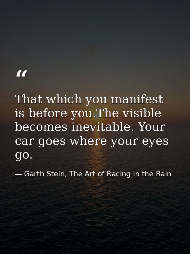 That which you manifest is before you.The visible becomes inevitable. Your car goes where your eyes go. — Garth Stein, The Art of Racing in the Rain