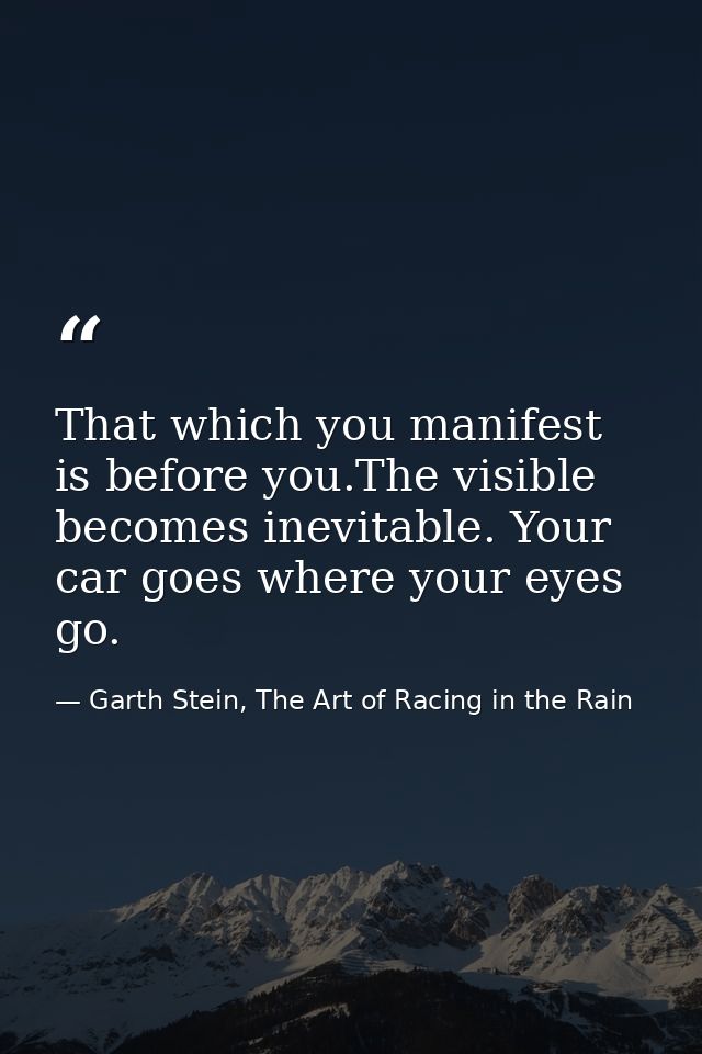 That which you manifest is before you.The visible becomes inevitable. Your car goes where your eyes go. — Garth Stein, The Art of Racing in the Rain