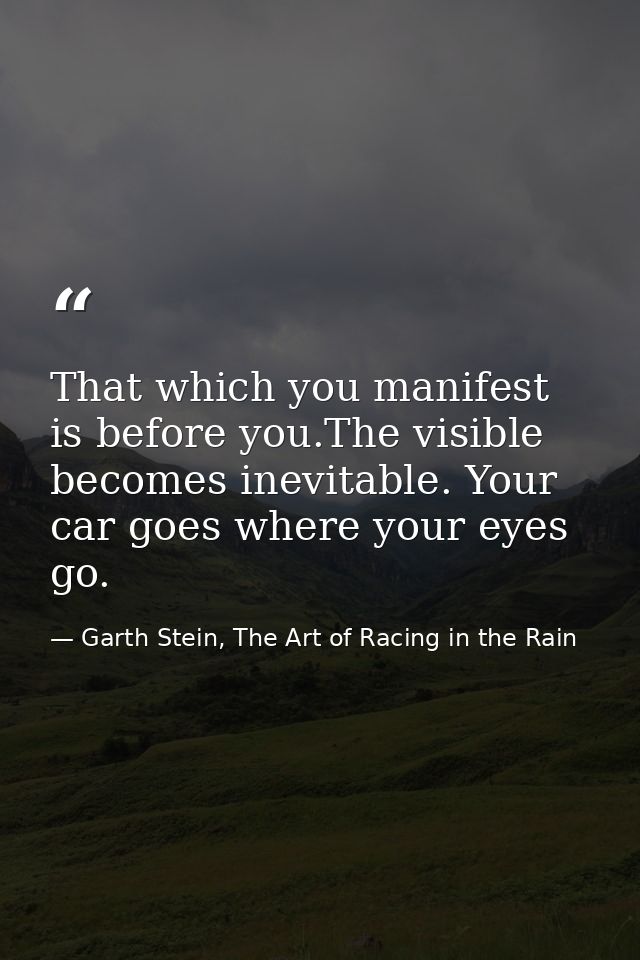 That which you manifest is before you.The visible becomes inevitable. Your car goes where your eyes go. — Garth Stein, The Art of Racing in the Rain