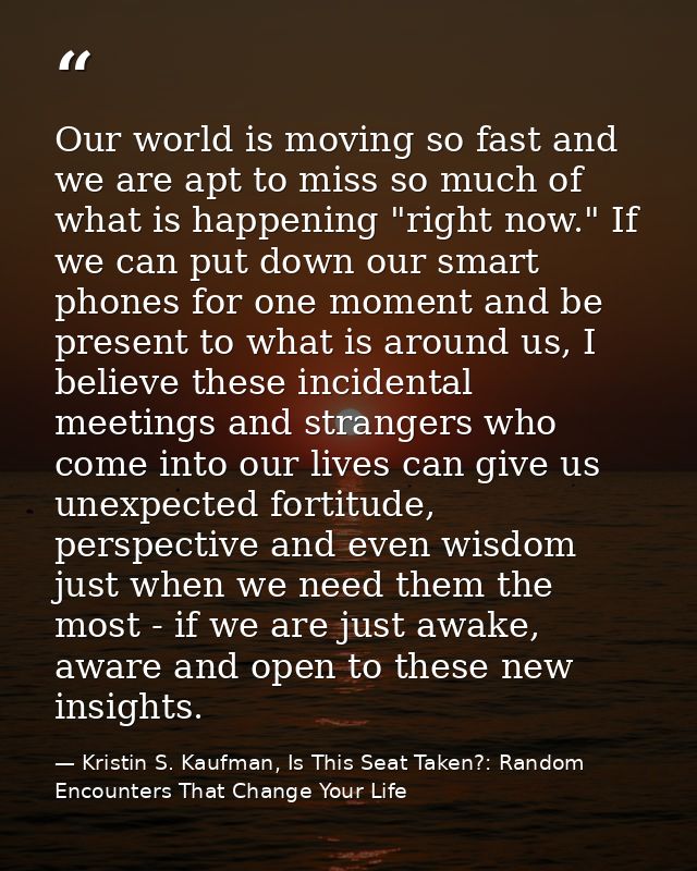 Our world is moving so fast and we are apt to miss so much of what is happening "right now." If we can put down our smar — Kristin S. Kaufman, Is This Seat Taken?: Random Encounters That Change Your Life