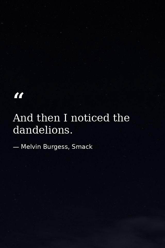 And then I noticed the dandelions. — Melvin Burgess, Smack