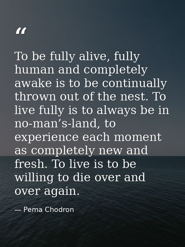 To be fully alive, fully human and completely awake is to be continually thrown out of the nest. To live fully is to alw — Pema Chodron