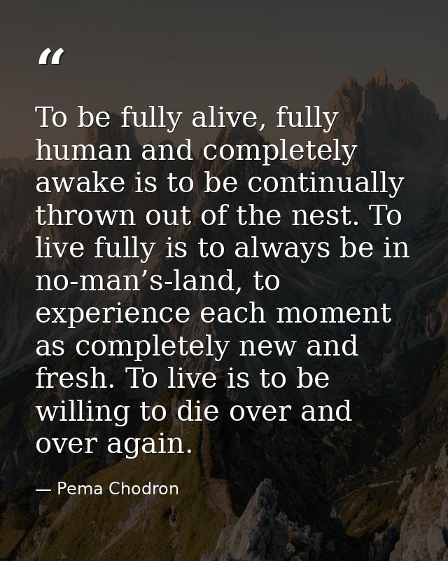 To be fully alive, fully human and completely awake is to be continually thrown out of the nest. To live fully is to alw — Pema Chodron