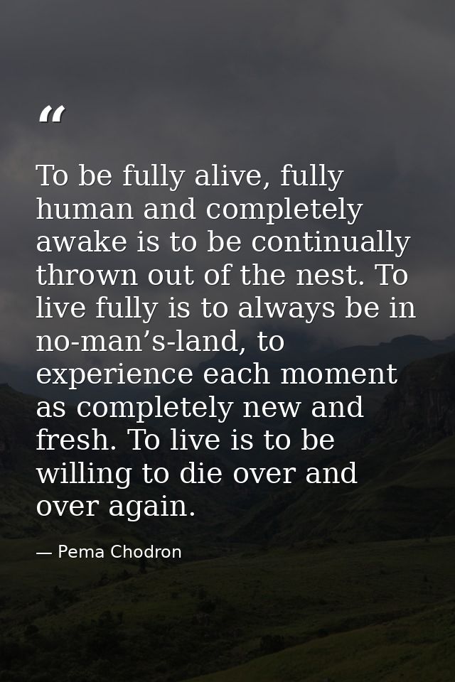 To be fully alive, fully human and completely awake is to be continually thrown out of the nest. To live fully is to alw — Pema Chodron