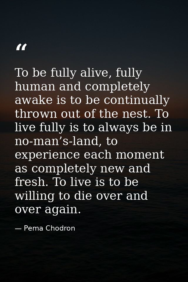 To be fully alive, fully human and completely awake is to be continually thrown out of the nest. To live fully is to alw — Pema Chodron