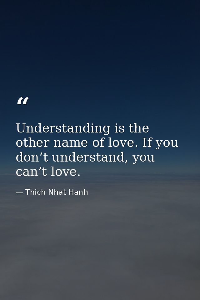 Understanding is the other name of love. If you don’t understand, you can’t love. — Thich Nhat Hanh