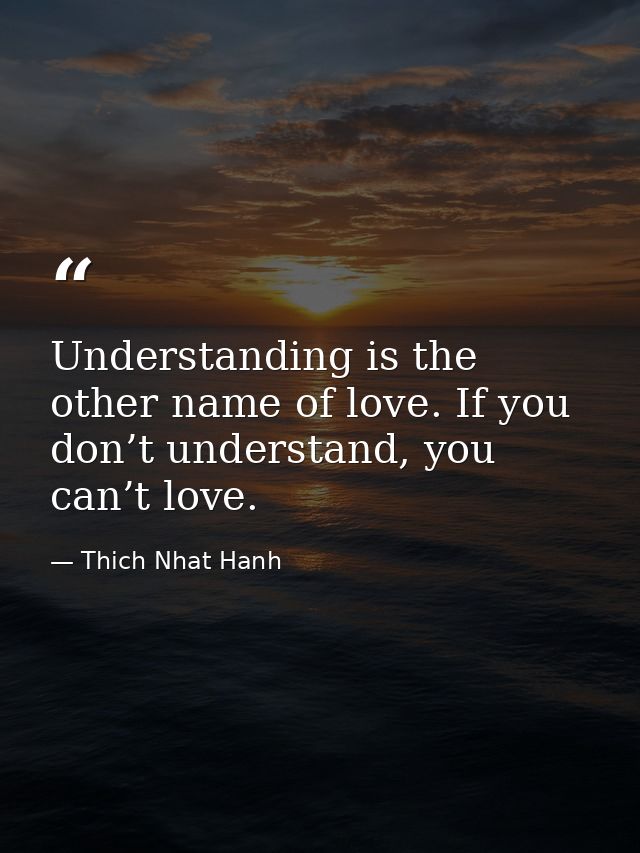 Understanding is the other name of love. If you don’t understand, you can’t love. — Thich Nhat Hanh
