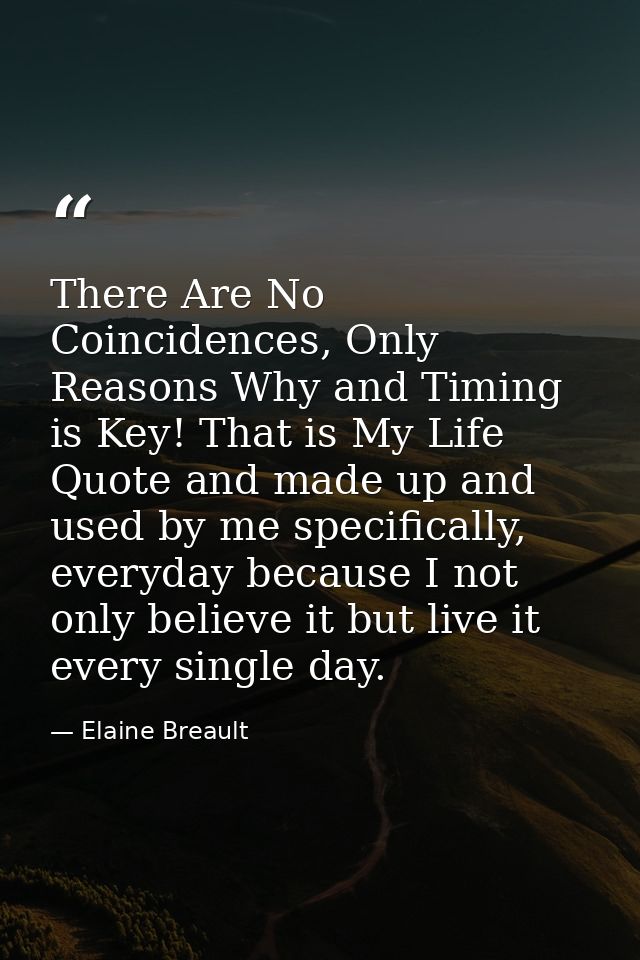 There Are No Coincidences, Only Reasons Why and Timing is Key! That is My Life Quote and made up and used by me specific — Elaine Breault