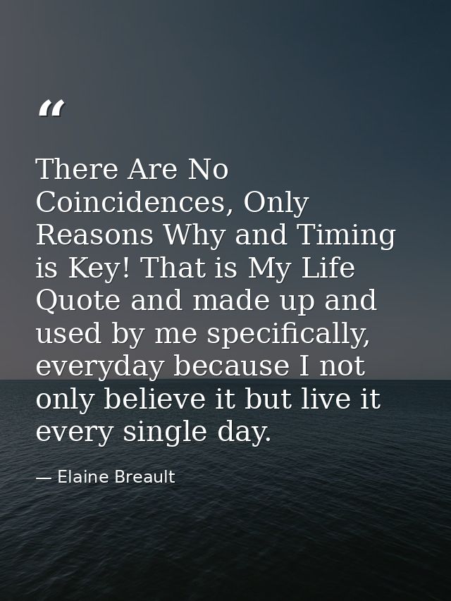 There Are No Coincidences, Only Reasons Why and Timing is Key! That is My Life Quote and made up and used by me specific — Elaine Breault