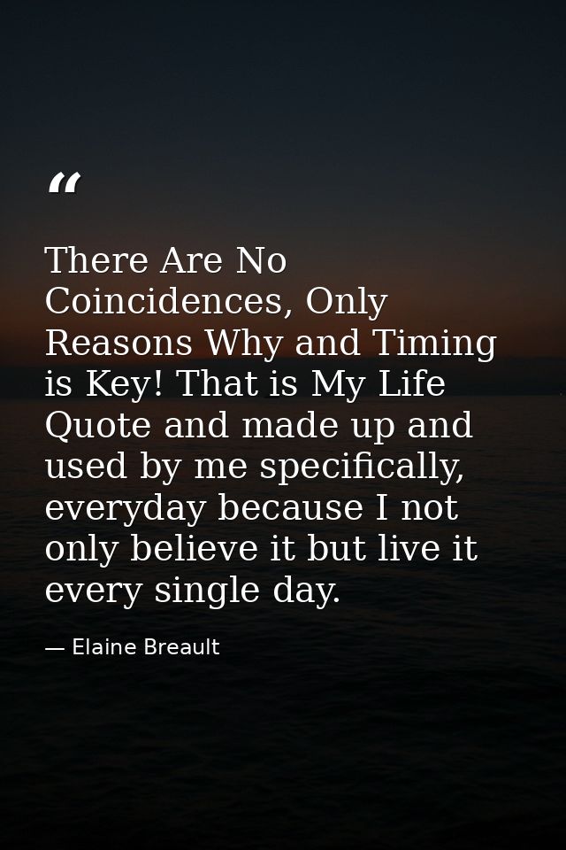 There Are No Coincidences, Only Reasons Why and Timing is Key! That is My Life Quote and made up and used by me specific — Elaine Breault