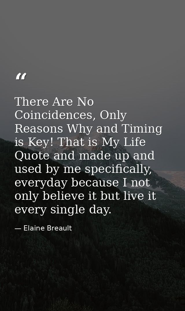There Are No Coincidences, Only Reasons Why and Timing is Key! That is My Life Quote and made up and used by me specific — Elaine Breault