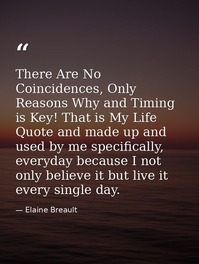 There Are No Coincidences, Only Reasons Why and Timing is Key! That is My Life Quote and made up and used by me specific — Elaine Breault