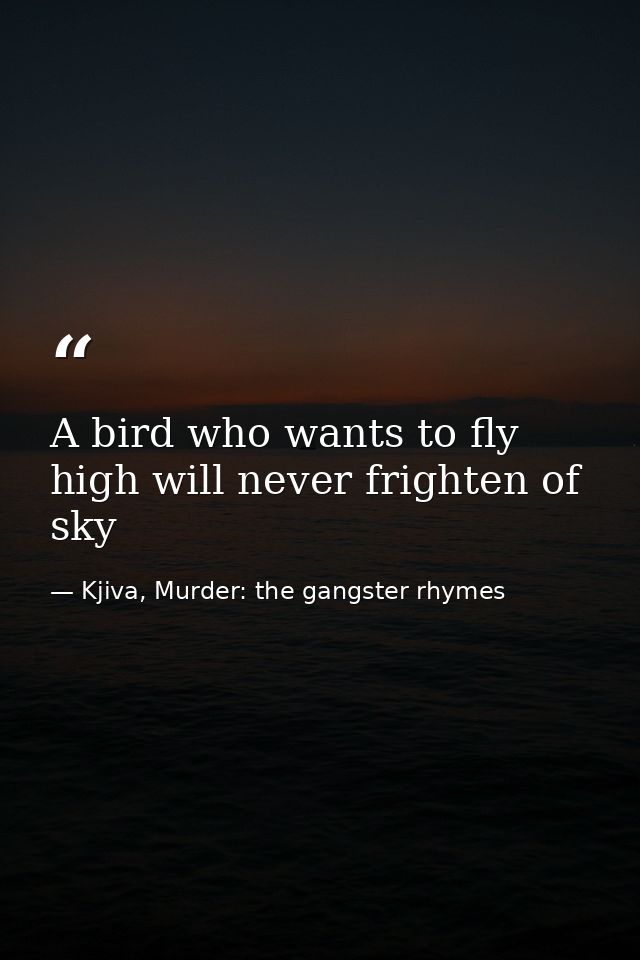 A bird who wants to fly high will never frighten of sky — Kjiva, Murder: the gangster rhymes