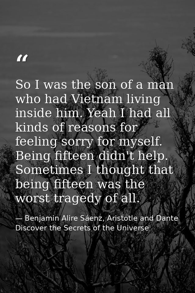 So I was the son of a man who had Vietnam living inside him. Yeah I had all kinds of reasons for feeling sorry for mysel — Benjamin Alire Sáenz, Aristotle and Dante Discover the Secrets of the Universe