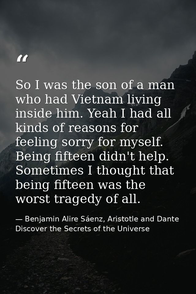 So I was the son of a man who had Vietnam living inside him. Yeah I had all kinds of reasons for feeling sorry for mysel — Benjamin Alire Sáenz, Aristotle and Dante Discover the Secrets of the Universe