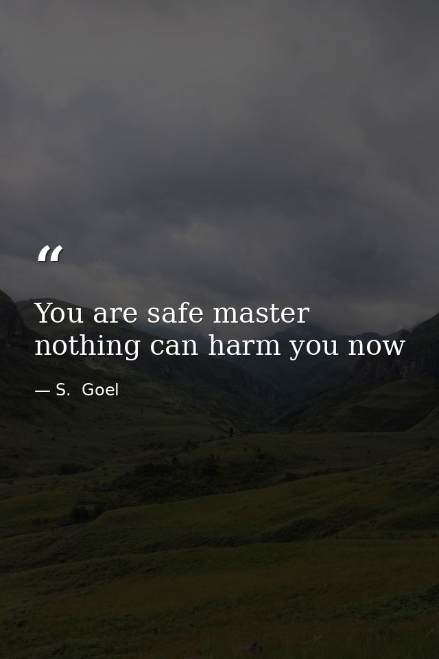 You are safe master nothing can harm you now — S.  Goel
