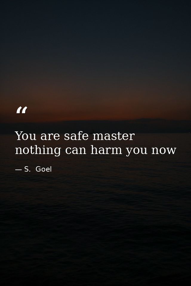 You are safe master nothing can harm you now — S.  Goel