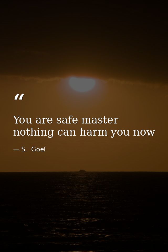 You are safe master nothing can harm you now — S.  Goel