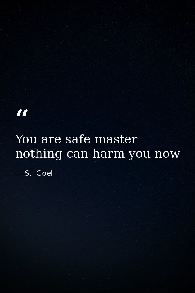 You are safe master nothing can harm you now — S.  Goel