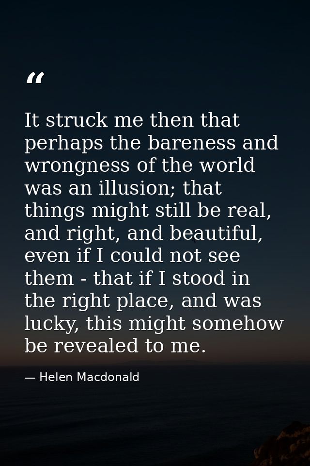 It struck me then that perhaps the bareness and wrongness of the world was an illusion; that things might still be real, — Helen Macdonald