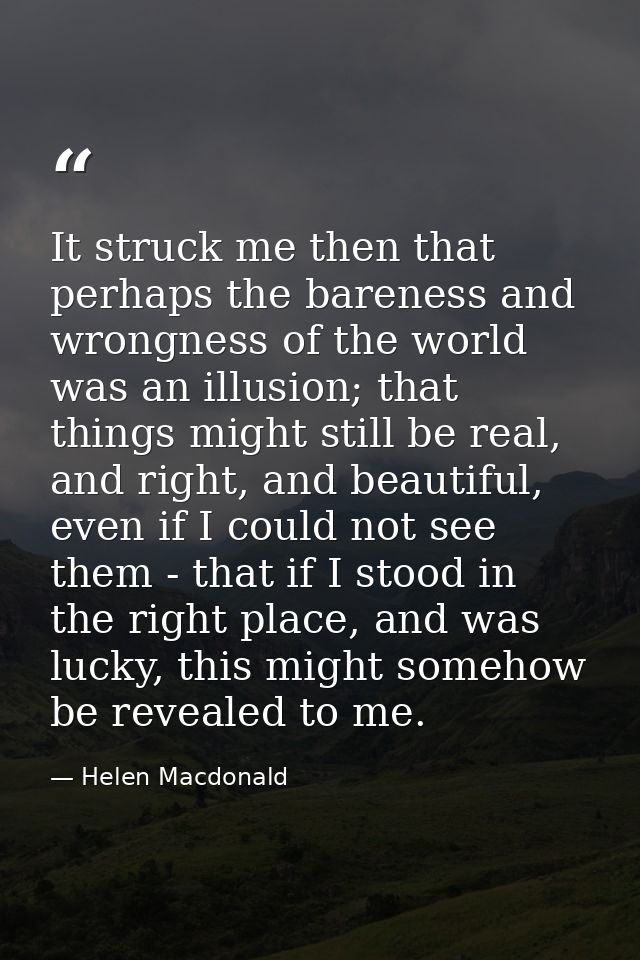 It struck me then that perhaps the bareness and wrongness of the world was an illusion; that things might still be real, — Helen Macdonald