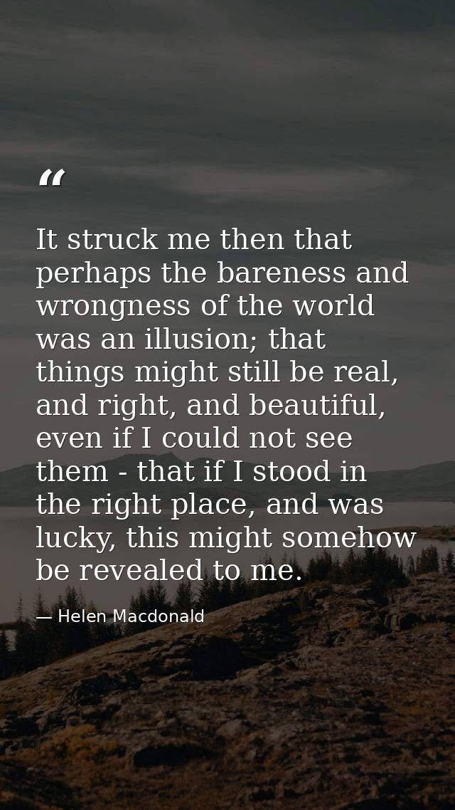 It struck me then that perhaps the bareness and wrongness of the world was an illusion; that things might still be real, — Helen Macdonald