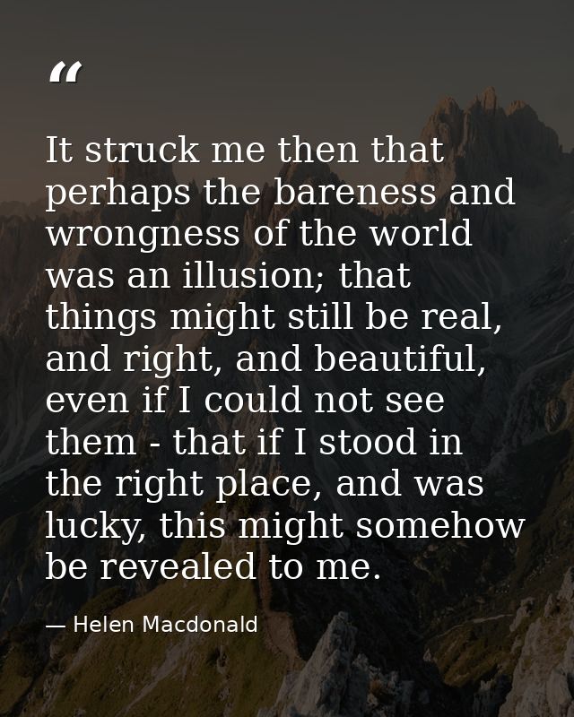 It struck me then that perhaps the bareness and wrongness of the world was an illusion; that things might still be real, — Helen Macdonald