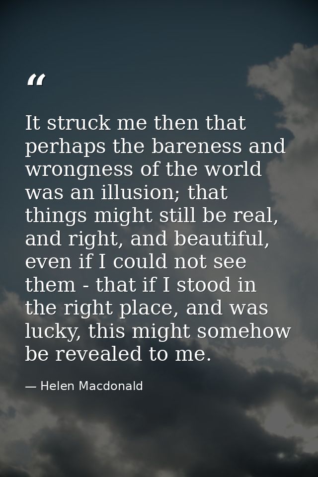 It struck me then that perhaps the bareness and wrongness of the world was an illusion; that things might still be real, — Helen Macdonald