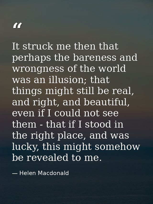 It struck me then that perhaps the bareness and wrongness of the world was an illusion; that things might still be real, — Helen Macdonald
