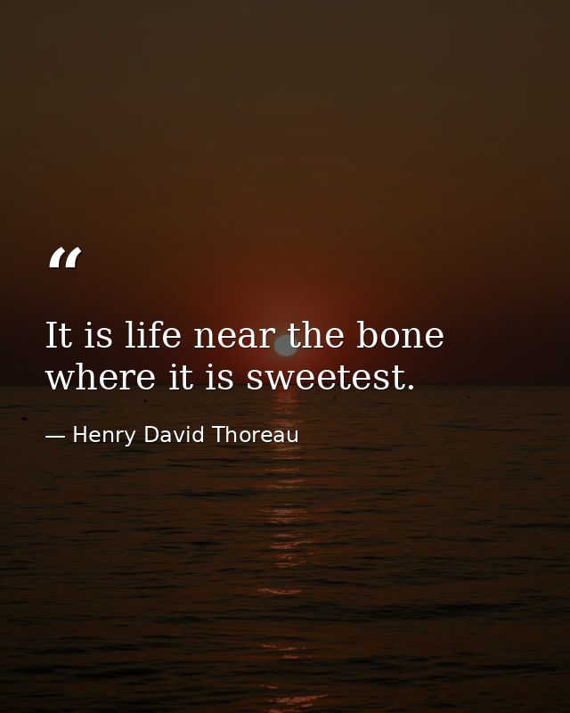 It is life near the bone where it is sweetest. — Henry David Thoreau