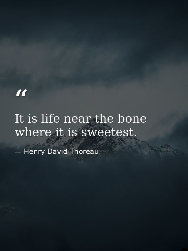 It is life near the bone where it is sweetest. — Henry David Thoreau