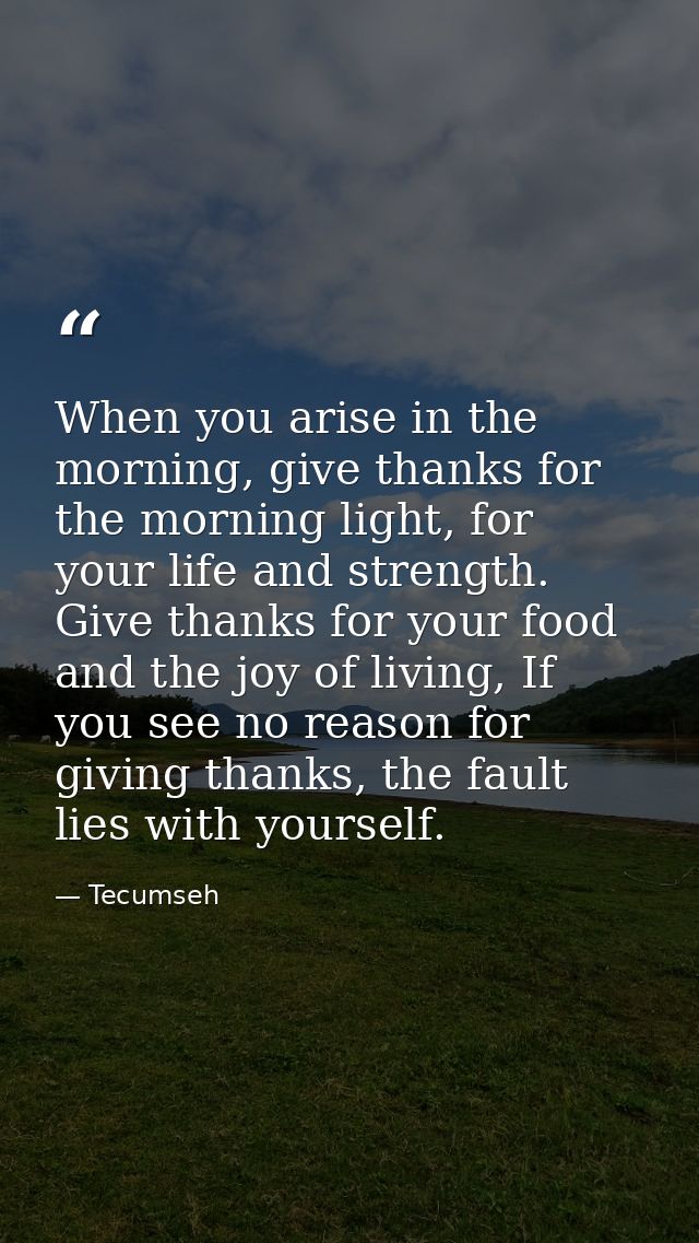 When you arise in the morning, give thanks for the morning light, for your life and strength. Give thanks for your food  — Tecumseh