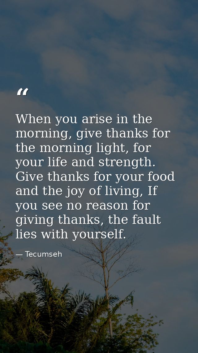 When you arise in the morning, give thanks for the morning light, for your life and strength. Give thanks for your food  — Tecumseh