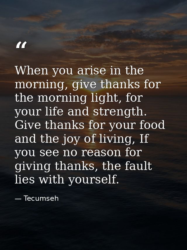 When you arise in the morning, give thanks for the morning light, for your life and strength. Give thanks for your food  — Tecumseh