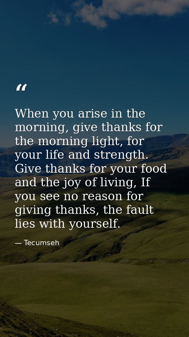 When you arise in the morning, give thanks for the morning light, for your life and strength. Give thanks for your food  — Tecumseh