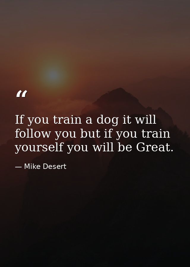 If you train a dog it will follow you but if you train yourself you will be Great. — Mike Desert