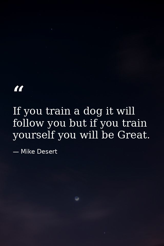 If you train a dog it will follow you but if you train yourself you will be Great. — Mike Desert