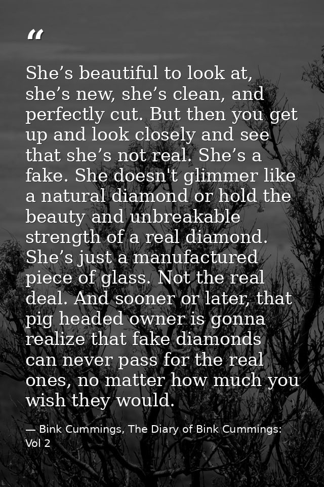 She’s beautiful to look at, she’s new, she’s clean, and perfectly cut. But then you get up and look closely and see that — Bink Cummings, The Diary of Bink Cummings: Vol 2