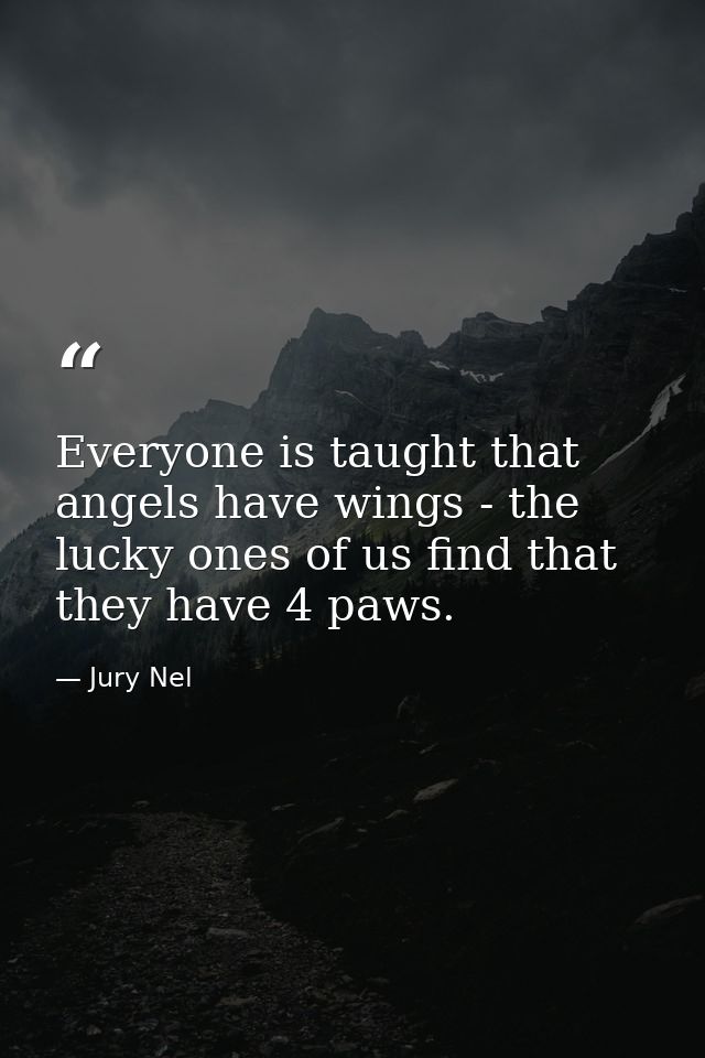Everyone is taught that angels have wings - the lucky ones of us find that they have 4 paws. — Jury Nel