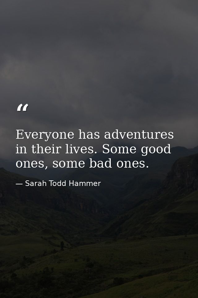 Everyone has adventures in their lives. Some good ones, some bad ones. — Sarah Todd Hammer