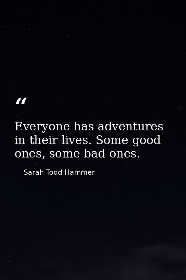 Everyone has adventures in their lives. Some good ones, some bad ones. — Sarah Todd Hammer