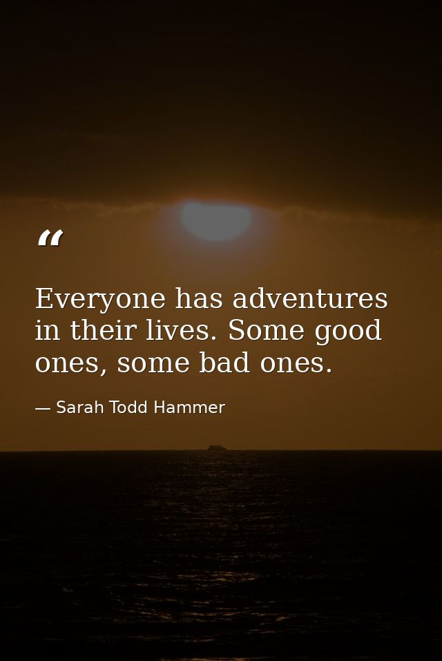 Everyone has adventures in their lives. Some good ones, some bad ones. — Sarah Todd Hammer