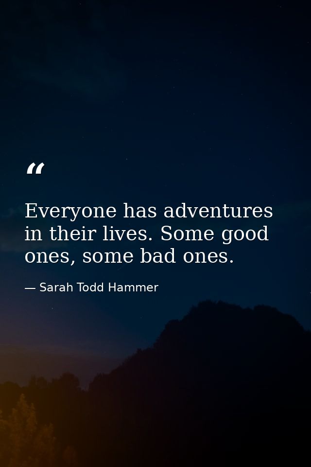 Everyone has adventures in their lives. Some good ones, some bad ones. — Sarah Todd Hammer