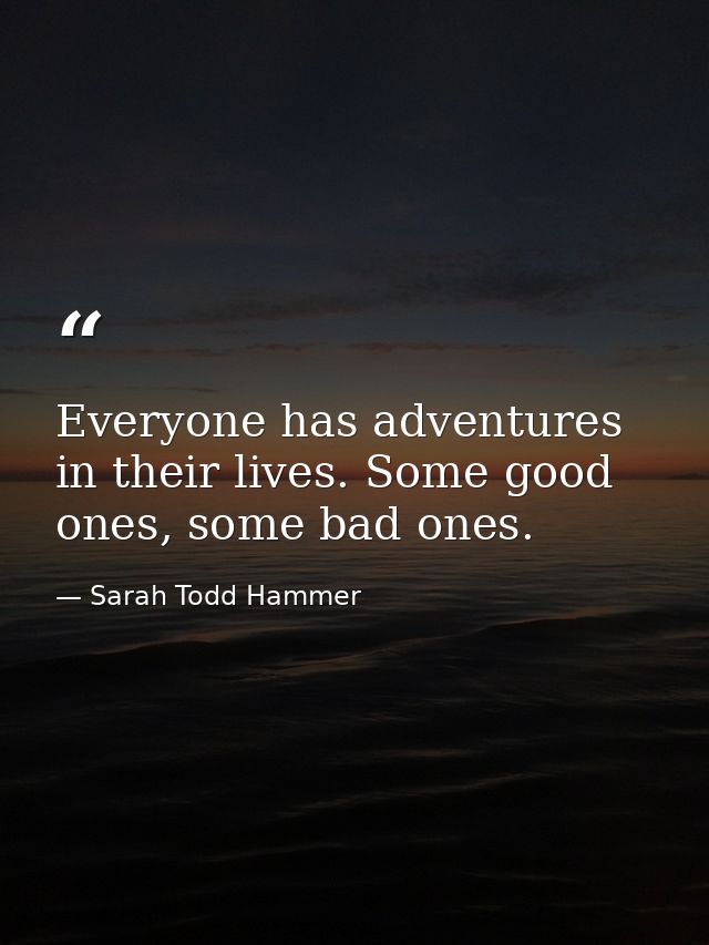 Everyone has adventures in their lives. Some good ones, some bad ones. — Sarah Todd Hammer