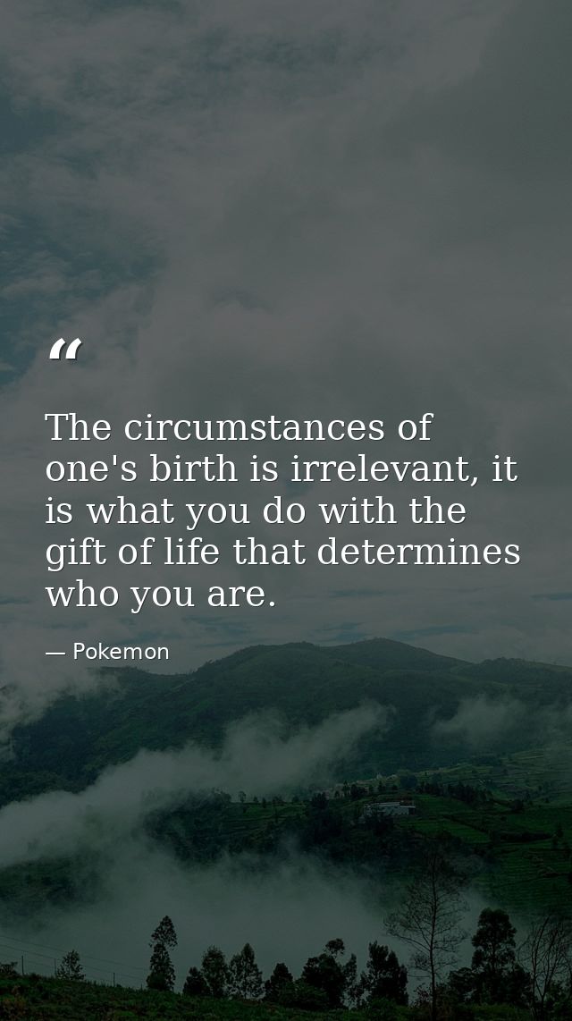 The circumstances of one's birth is irrelevant, it is what you do with the gift of life that determines who you are. — Pokemon