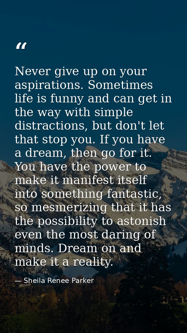 Never give up on your aspirations. Sometimes life is funny and can get in the way with simple distractions, but don't le — Sheila Renee Parker